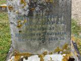 image of grave number 149305